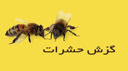 http://s1.picofile.com/file/8261477468/%D8%AF%D8%B1%D8%AF%D8%B3%D8%B1%D9%87%D8%A7%DB%8C_%DA%AF%D8%B2%D8%B4.jpg