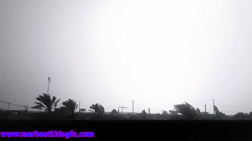 http://s1.picofile.com/file/8261559868/weekpic1.jpg