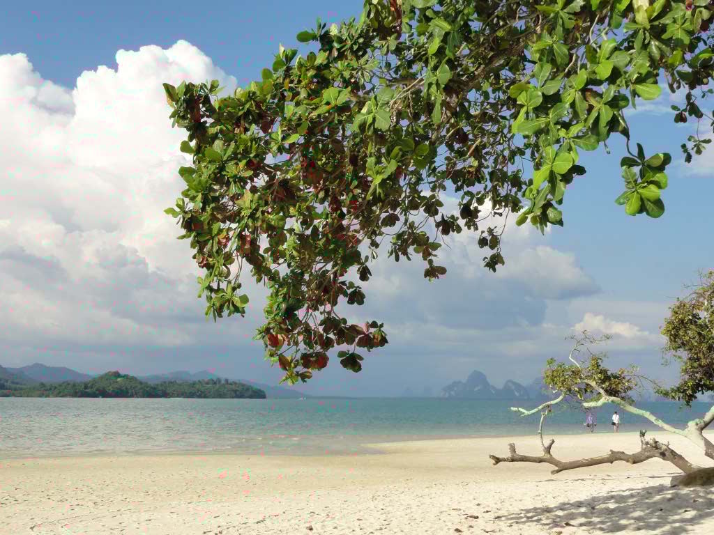 http://s1.picofile.com/file/8261787118/706.jpg