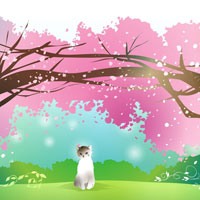 عکس نقاشی شکوفه های گیلاس و گربه ملوس