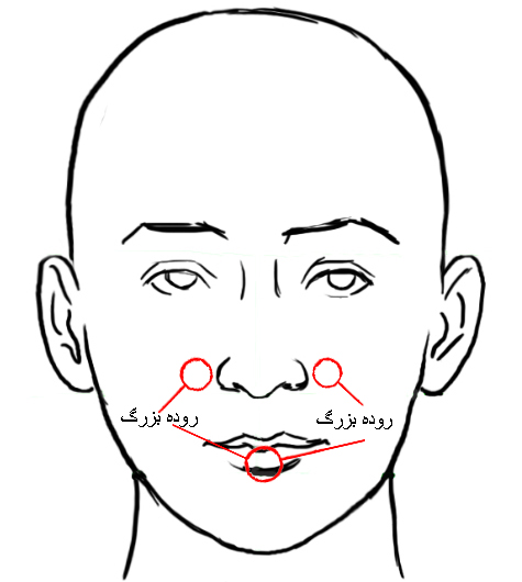 http://s1.picofile.com/file/8263595850/P7.jpg