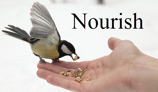 Nourish