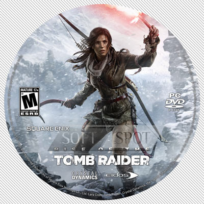 لیبل‌دیسک Rise of the Tomb Raider