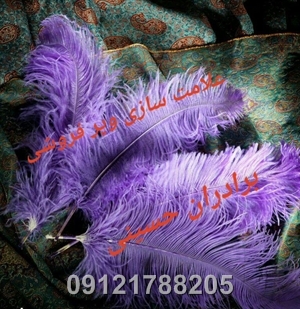 خریدوفروش پرعلامت