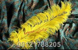 شترمرغ