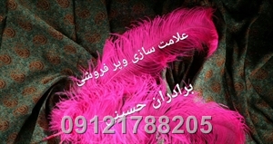 پرشترمرغ