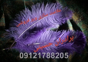 پرعلامت