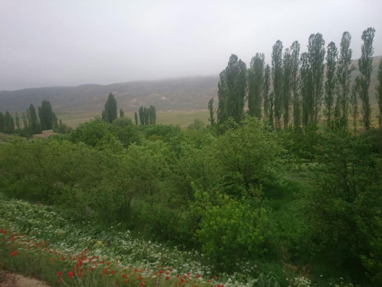 قزلق گرمه، مکانی زیبا برای یک سفر تابستانی/ تصاویر
