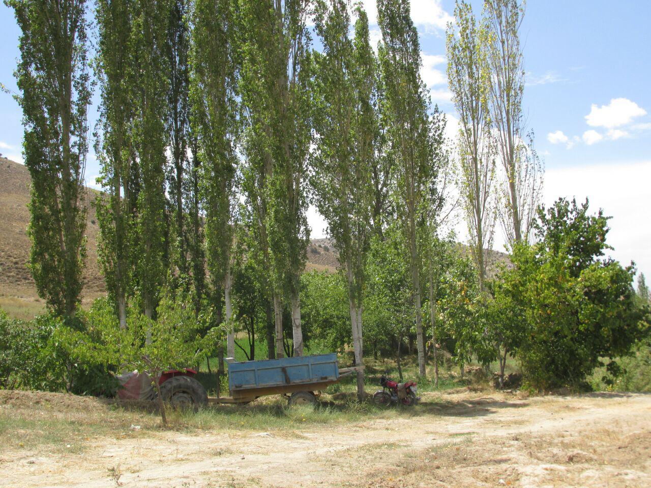 قزلق گرمه، مکانی زیبا برای یک سفر تابستانی/ تصاویر