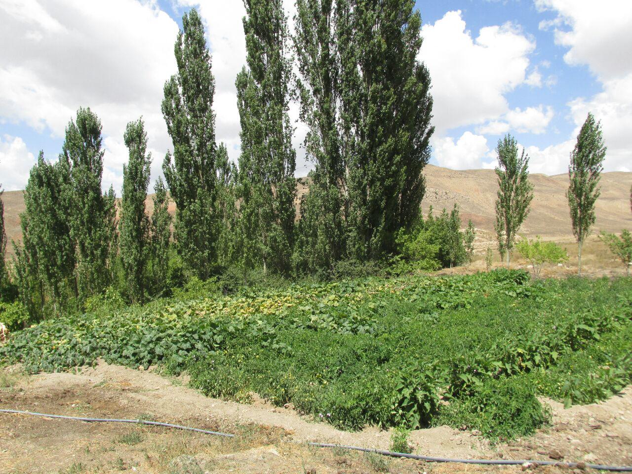 قزلق گرمه، مکانی زیبا برای یک سفر تابستانی/ تصاویر
