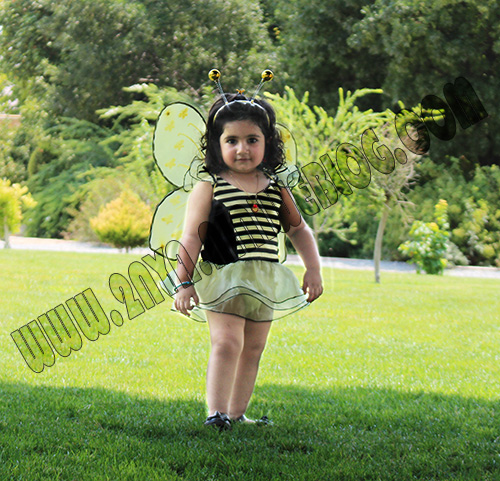 حلما زنبوری باغ ارم شیراز