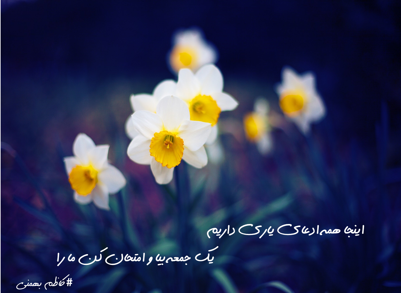 یک  جمعه  بیا و امتحان کن ما را