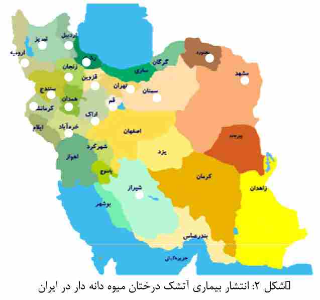 پراکندگی در ایران