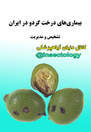 بیماری گردو