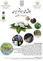 اولین همایش ملی ابریشم ایران برگزار می شود