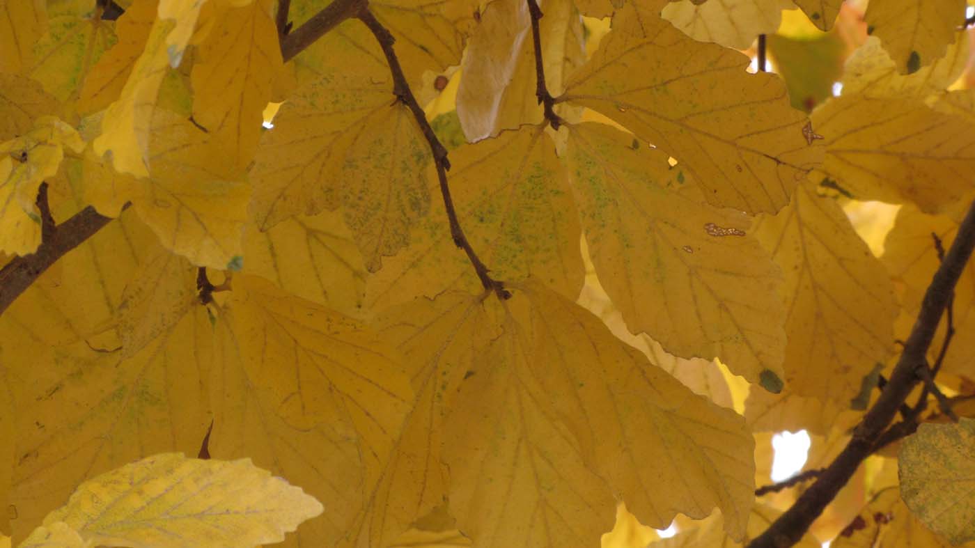 1_9_.jpg (1400×787)