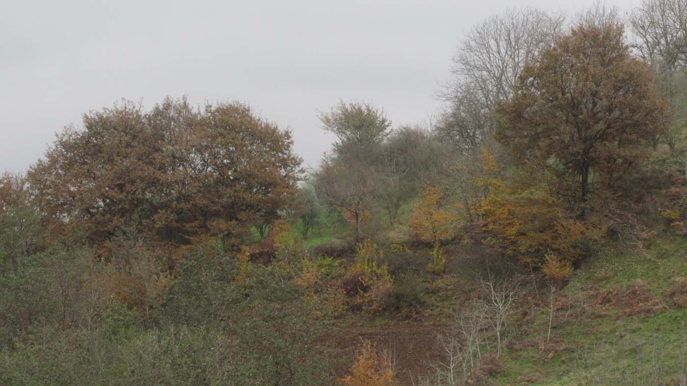 1_11_.jpg (1400×787)