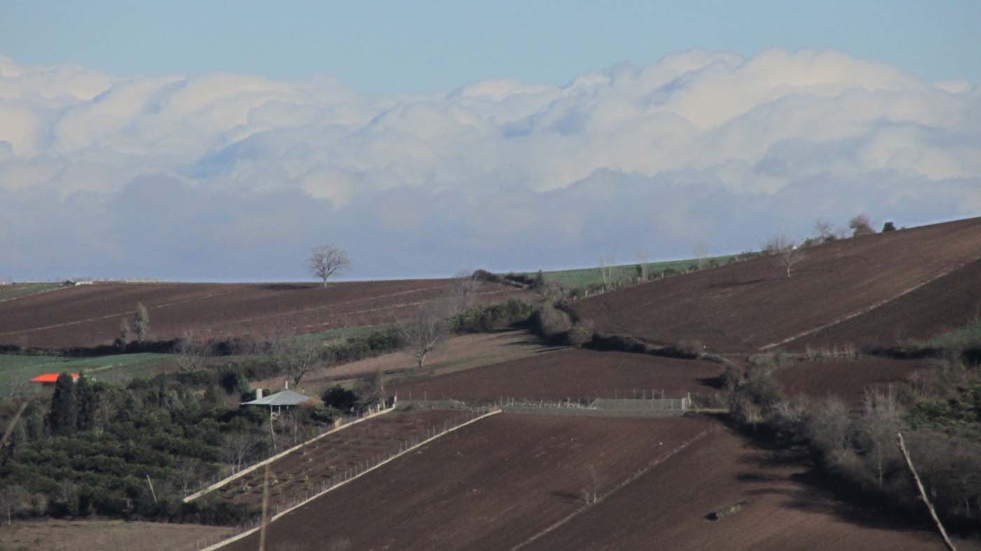 1_14_.jpg (1400×787)