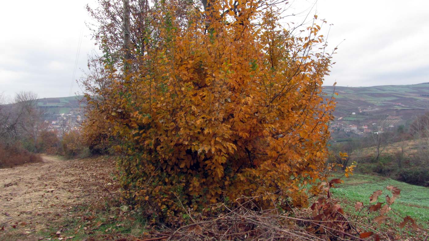 1_21_.jpg (1400×787)