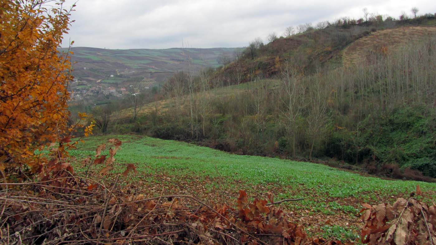 1_23_.jpg (1400×787)