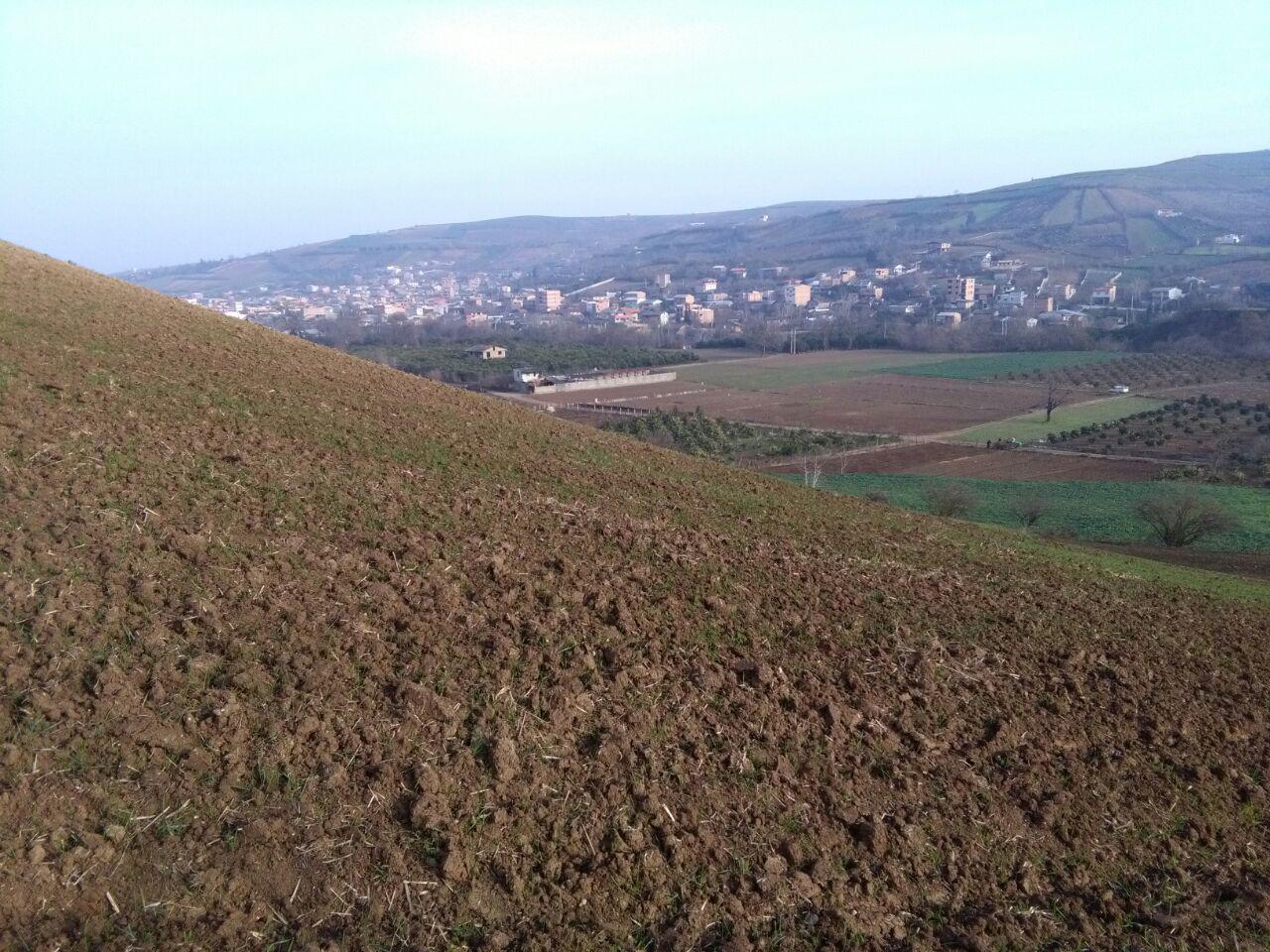 1_2_.jpg (1280×960)