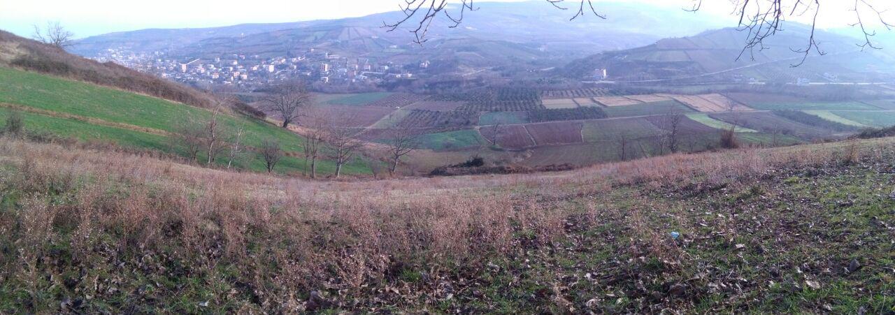 1_15_.jpg (1280×451)