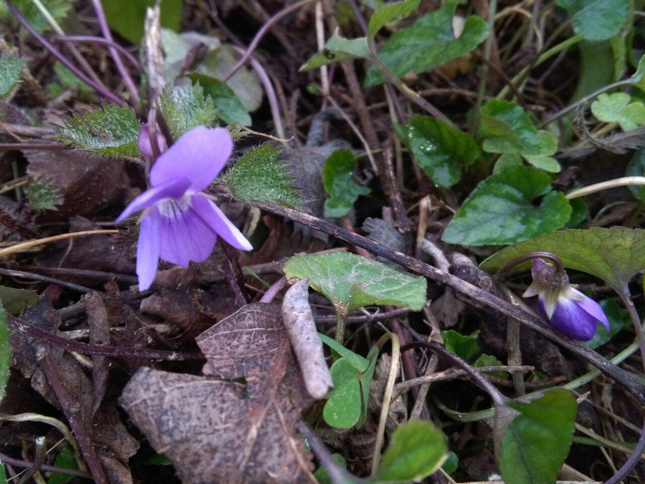 1_16_.jpg (1280×960)