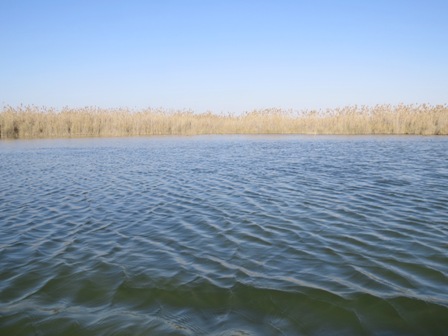 http://s1.picofile.com/file/8285489092/IMG_3844.JPG