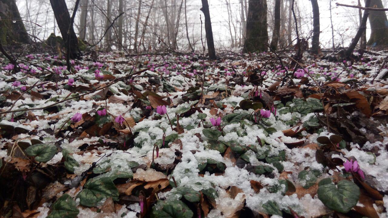 1_6_.jpg (1280×718)