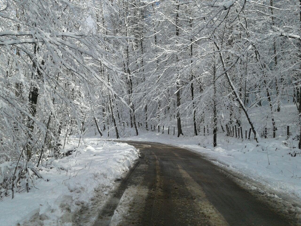 1_9_.jpg (1280×960)