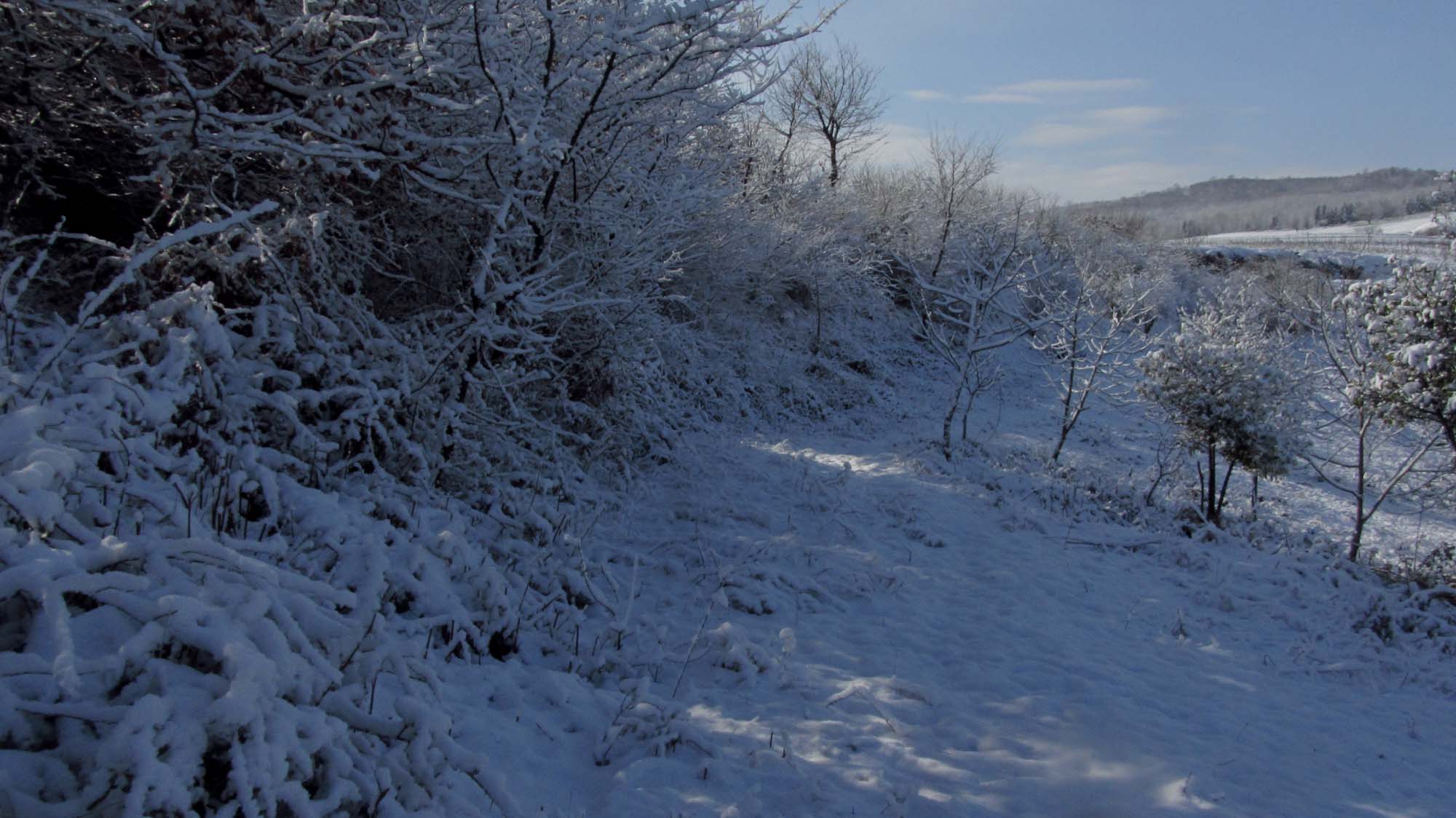 124.JPG (2000×1124)