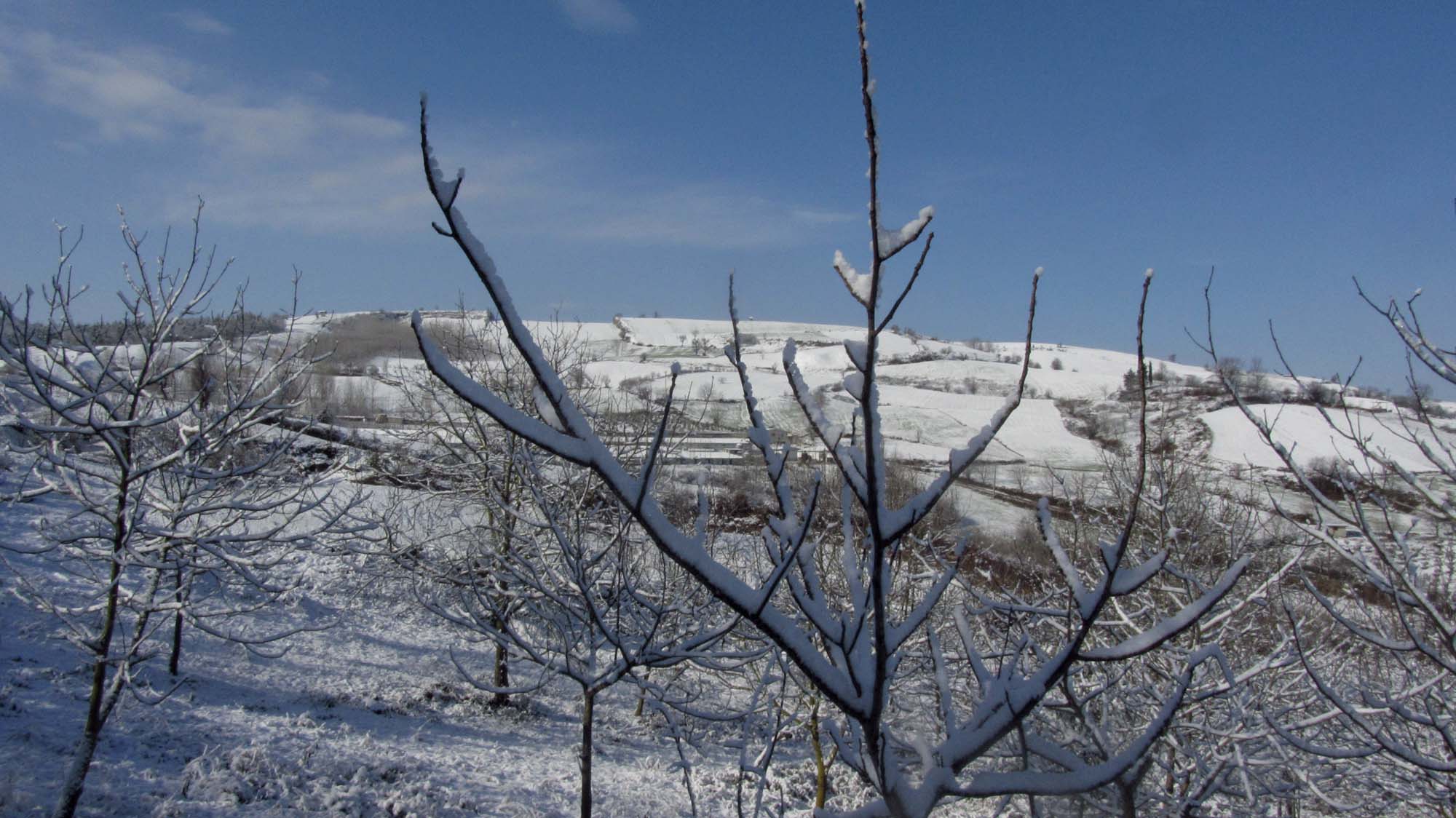 127.JPG (2000×1124)