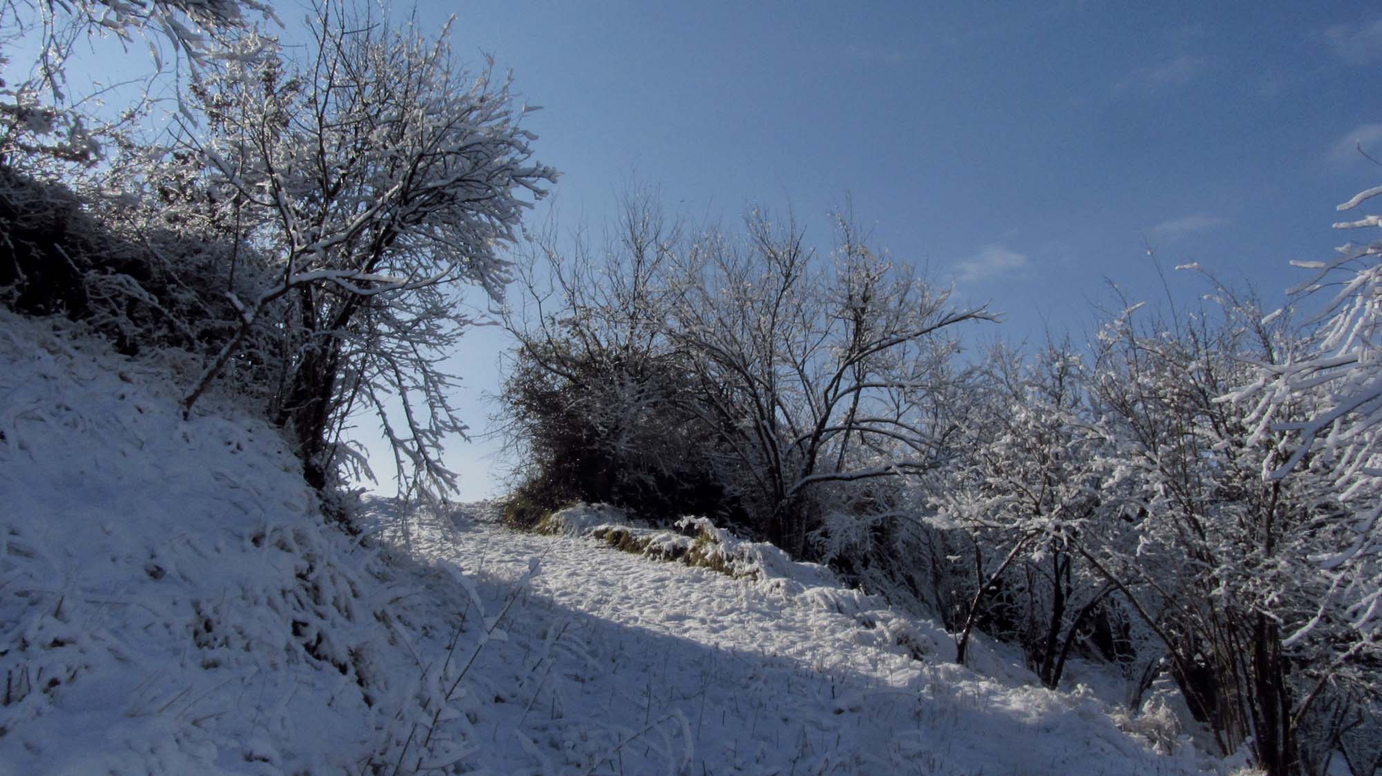 130.JPG (2000×1124)