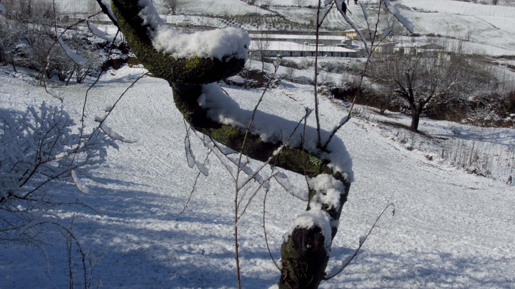 136.JPG (2000×1124)