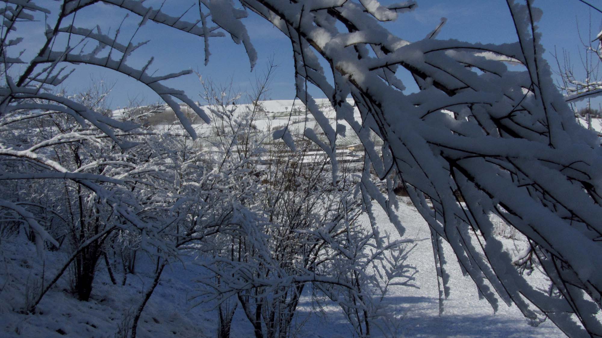 146.JPG (2000×1124)