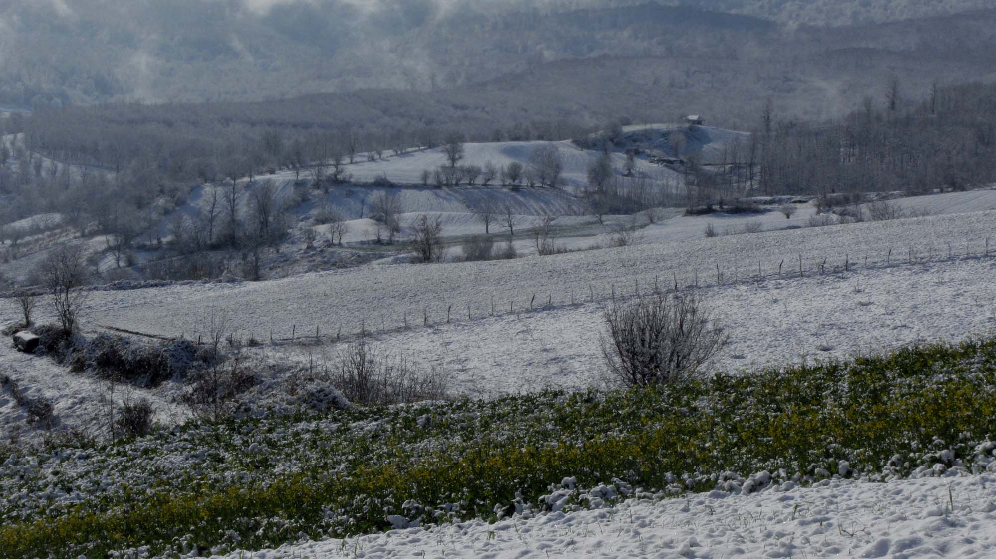 156.JPG (2000×1124)