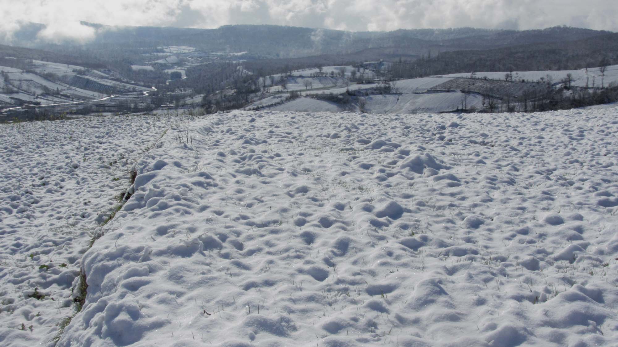 173.JPG (2000×1124)