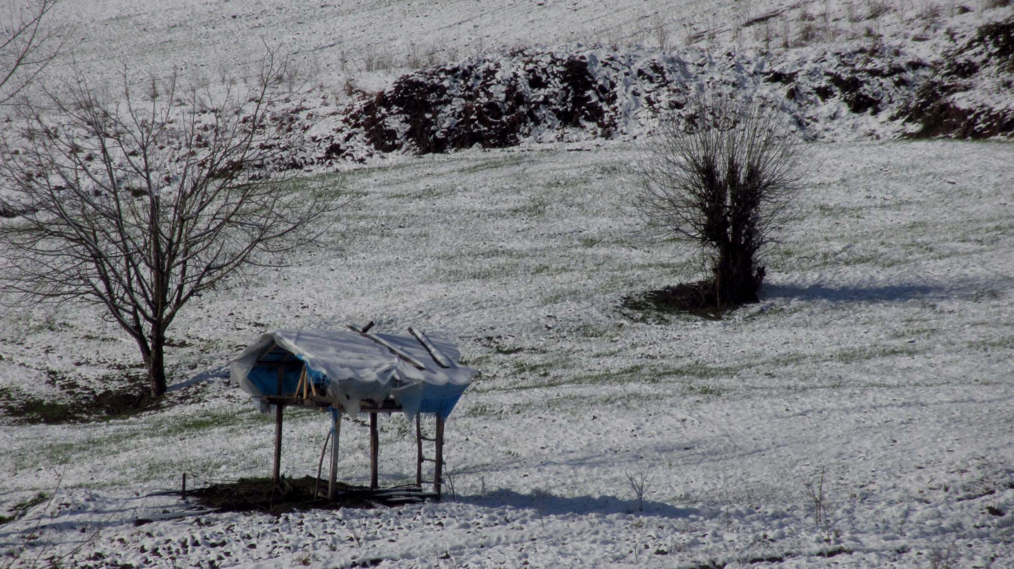 180.JPG (2000×1124)