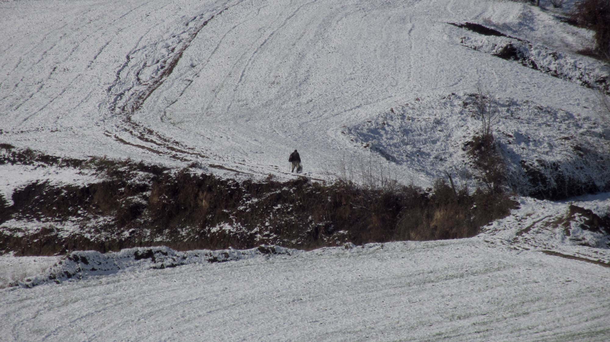 182.JPG (2000×1124)