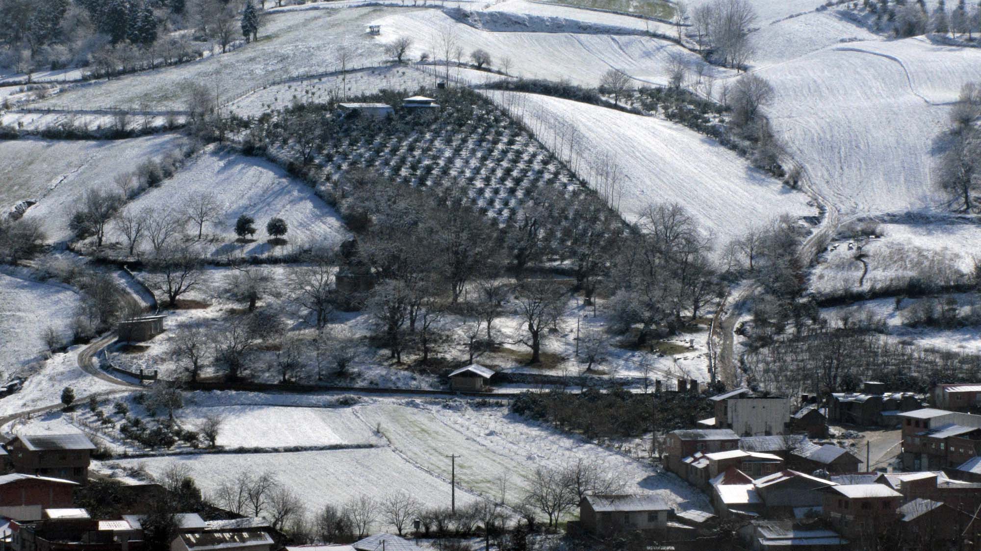 192.JPG (2000×1124)