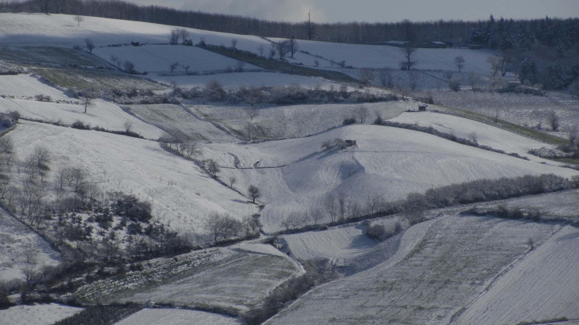 196.JPG (2000×1124)