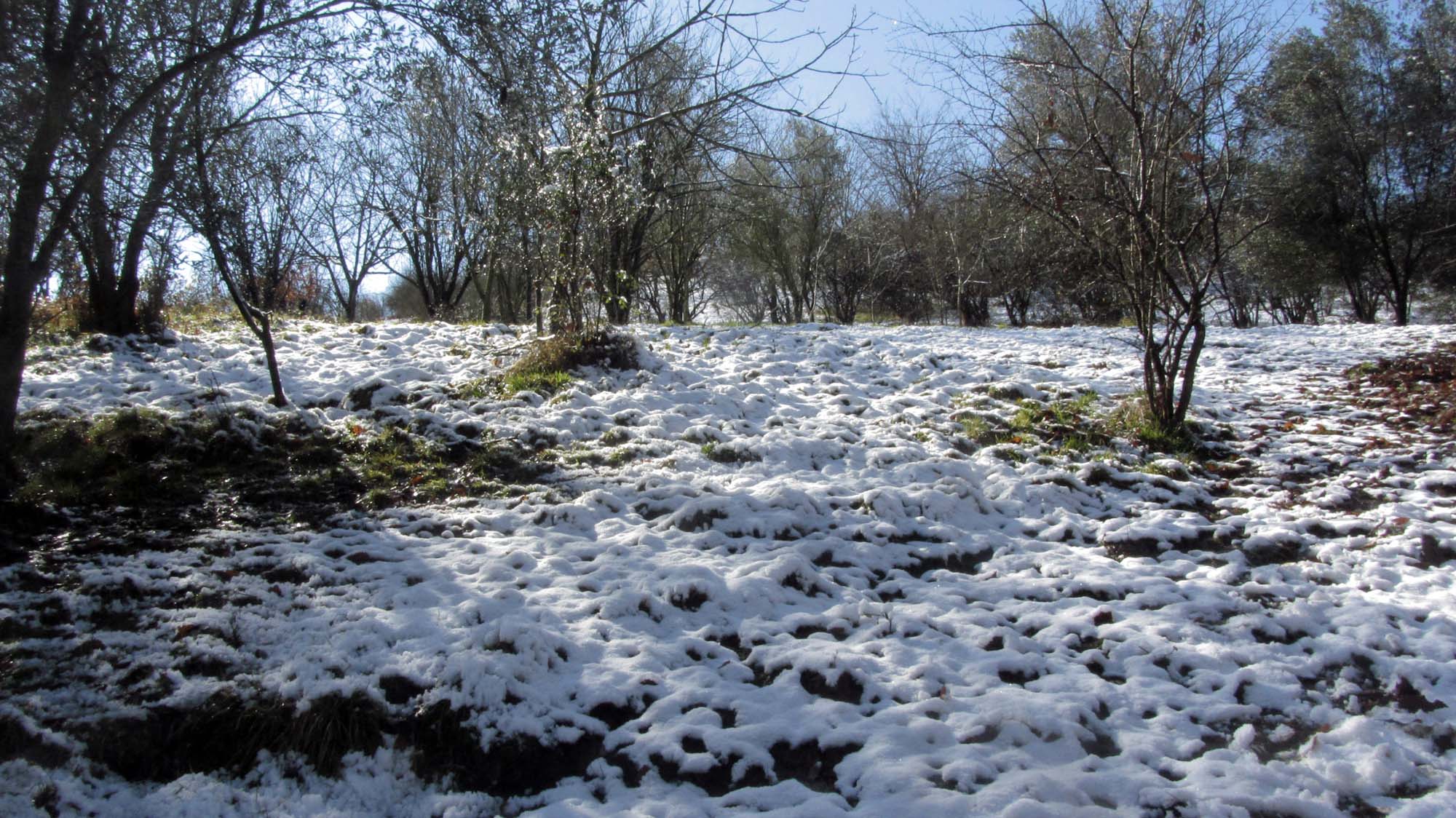 201.JPG (2000×1124)