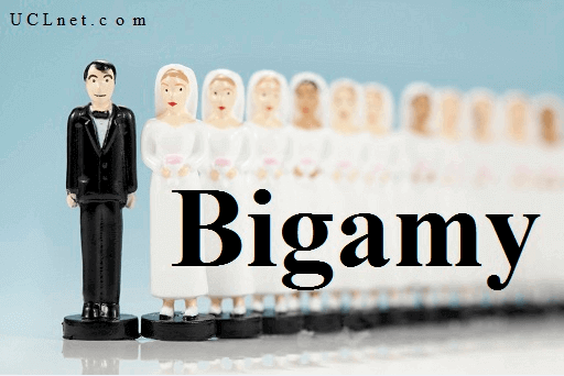 Bigamy – آموزش لغات کتاب ۵٠۴ – English Vocabulary – کدینگ لغات ۵٠۴