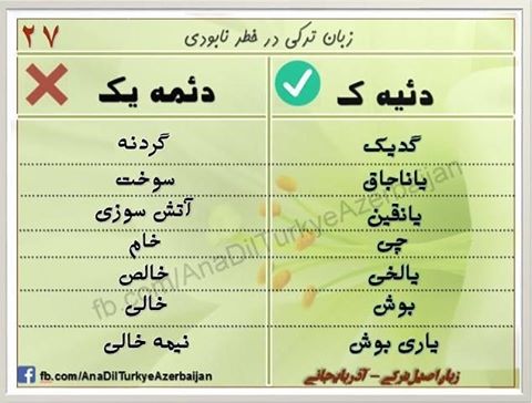 تورک دیلی