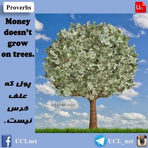 Money doesn’t grow on trees - پول که علف خرس نیست -English Proverb