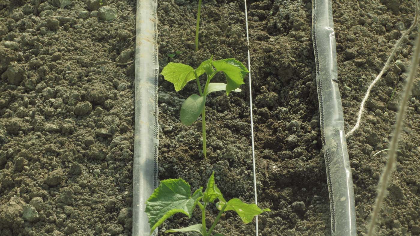 1_30_.jpg (1400×787)