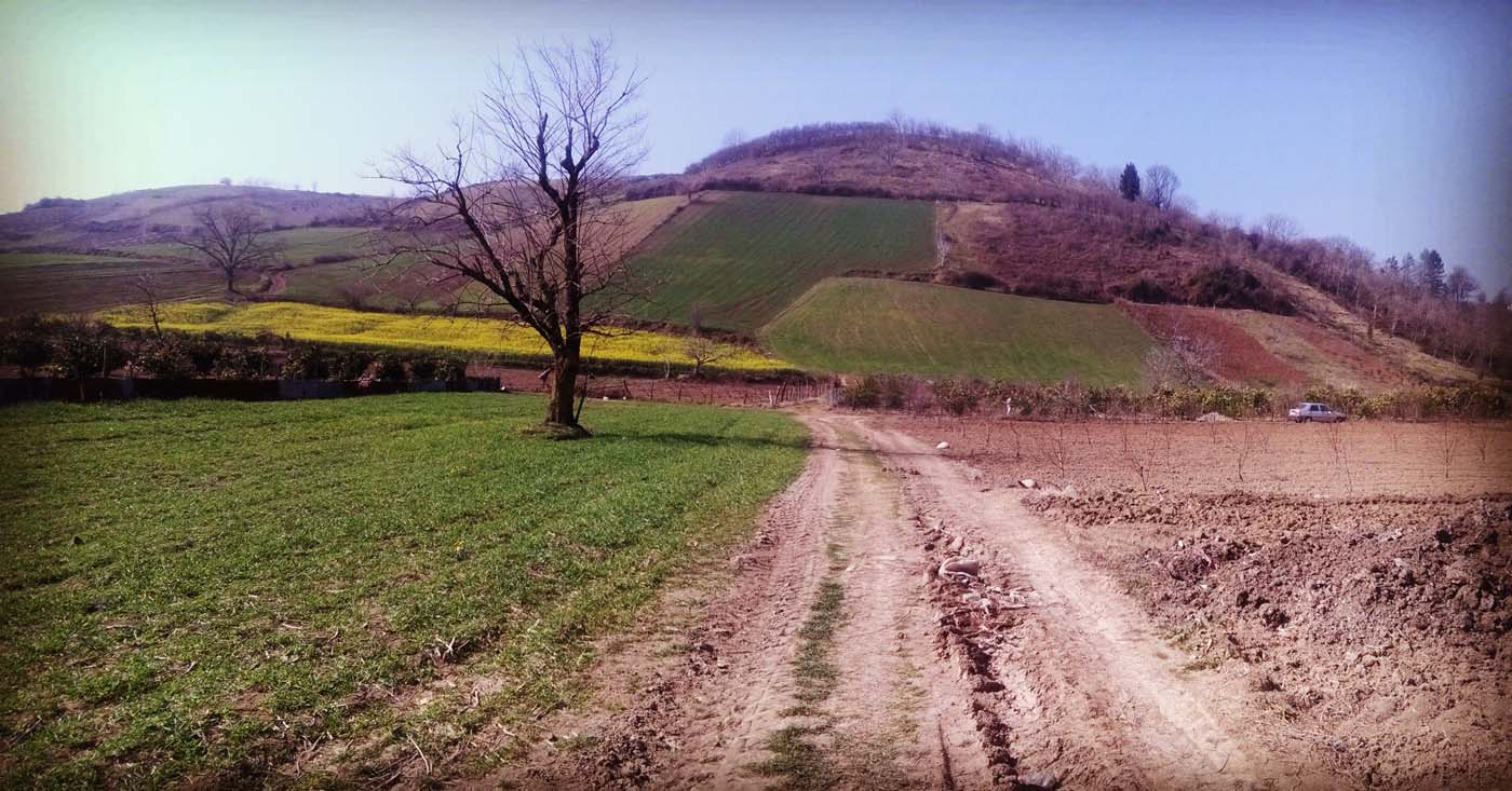 1_40_.jpg (1400×733)