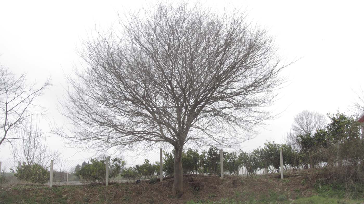 1_54_.jpg (1400×787)