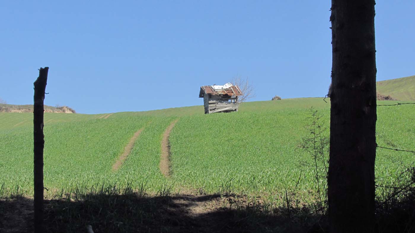 1_60_.JPG (1400×787)