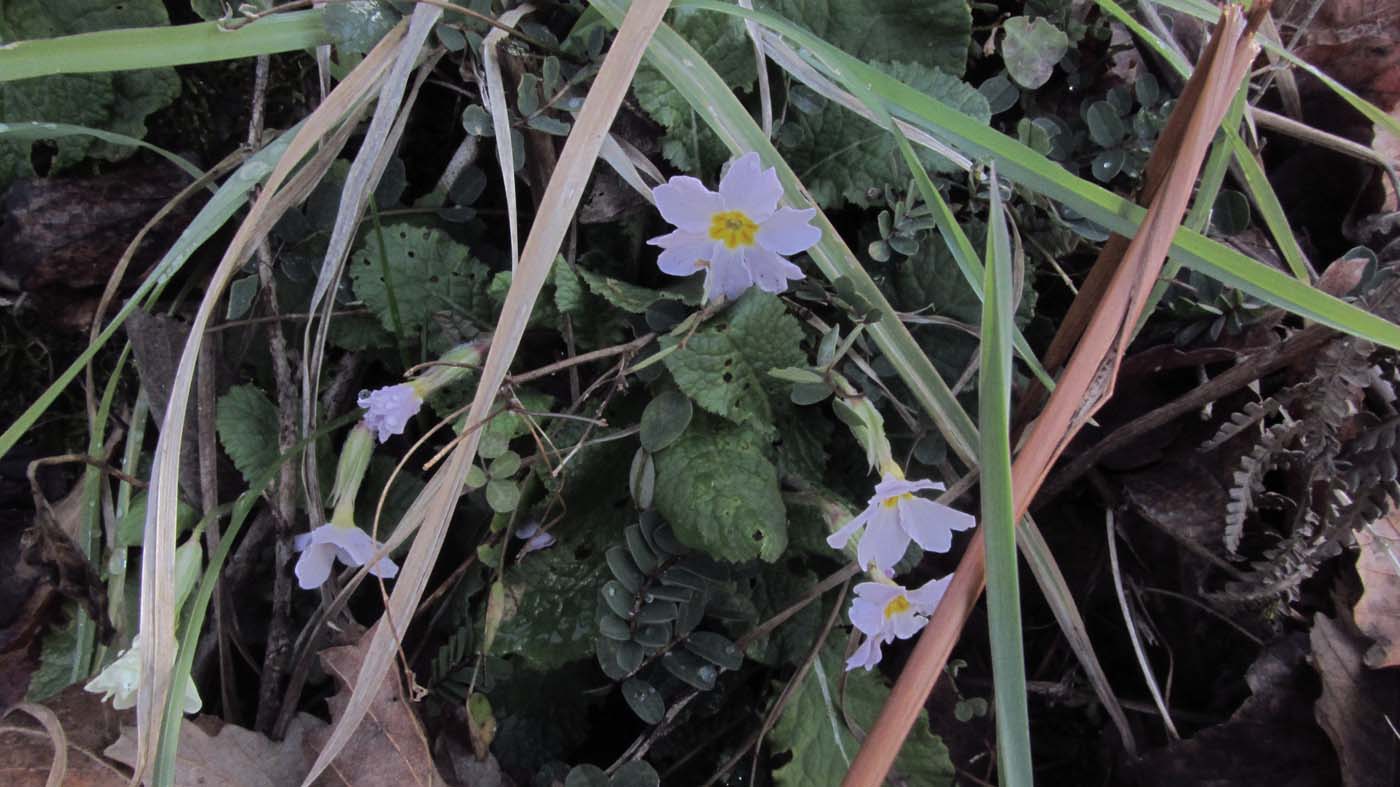 1_82_.JPG (1400×787)